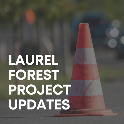 Square image that says "Laurel Forest Project Updates" over a photo of a traffic cone