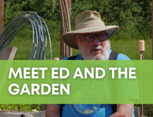 From Seed to Table: How Ed Wood and the Maple Alley Inn Garden Nourish Our Community