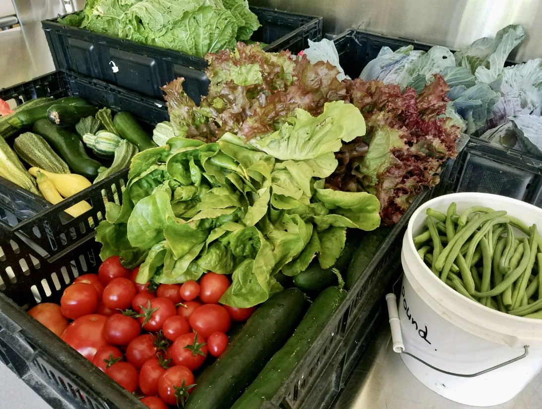 Baskets full of garden produce.