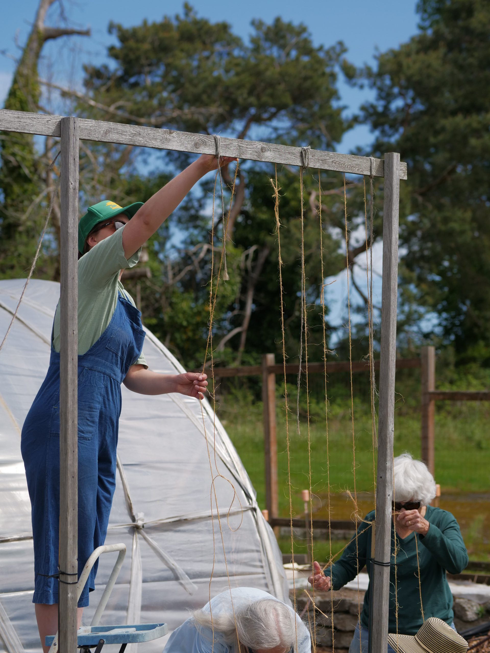 A person hangs a trellis from a frame in a garden.