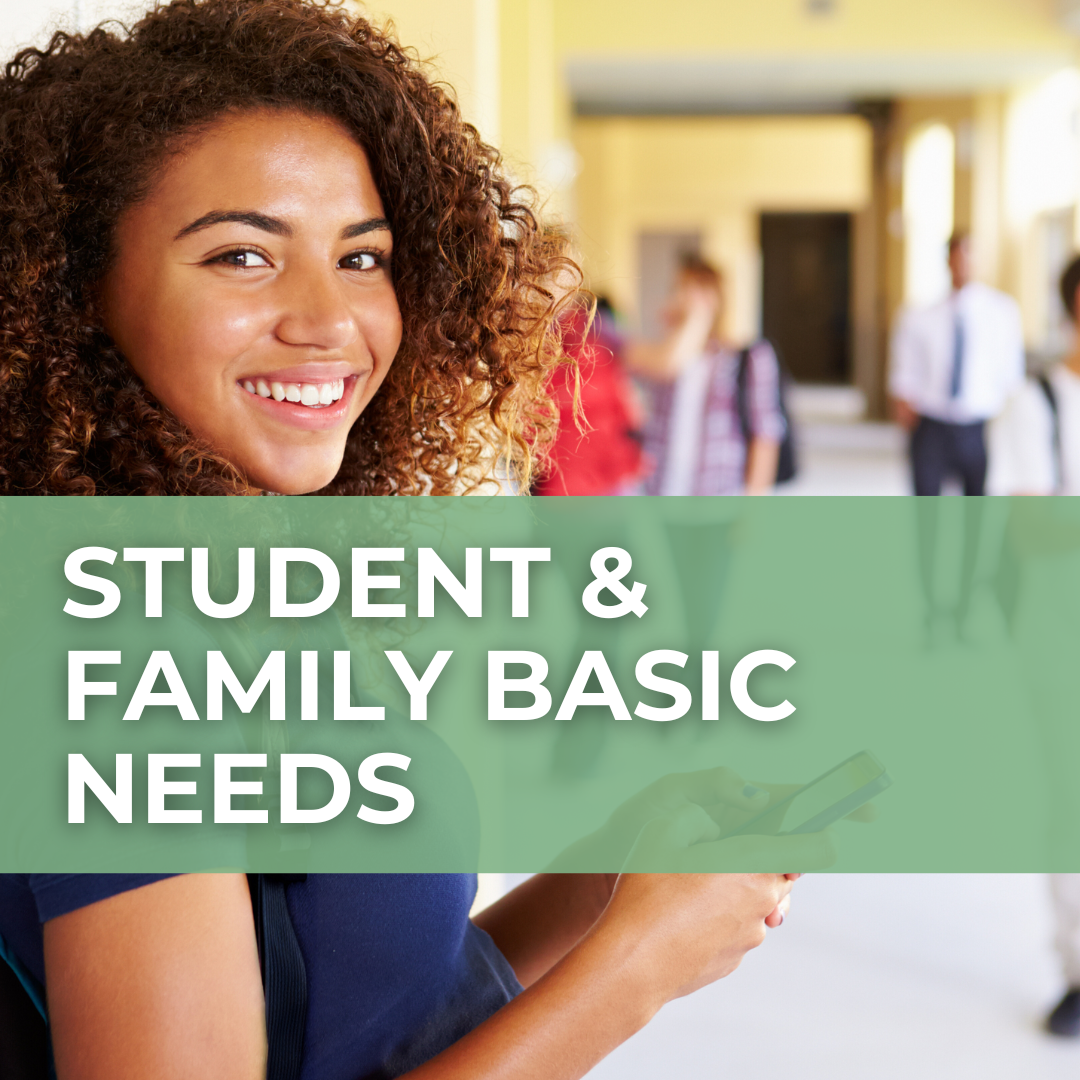 A smiling high schooler stands in a hallway, with a mint-colored banner over the photo that says "Student & family basic needs."