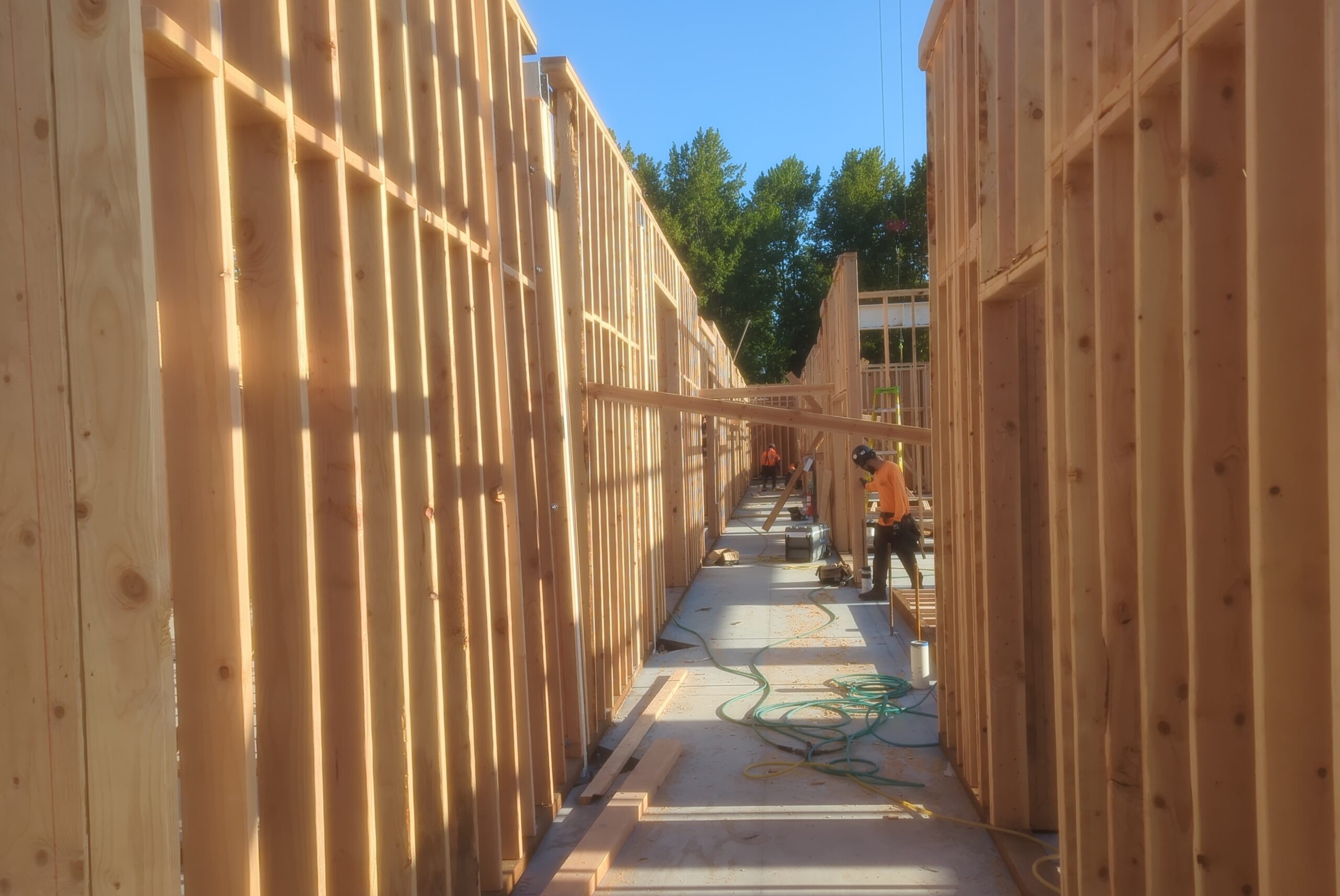 Wood framing of the walls of a new construction.