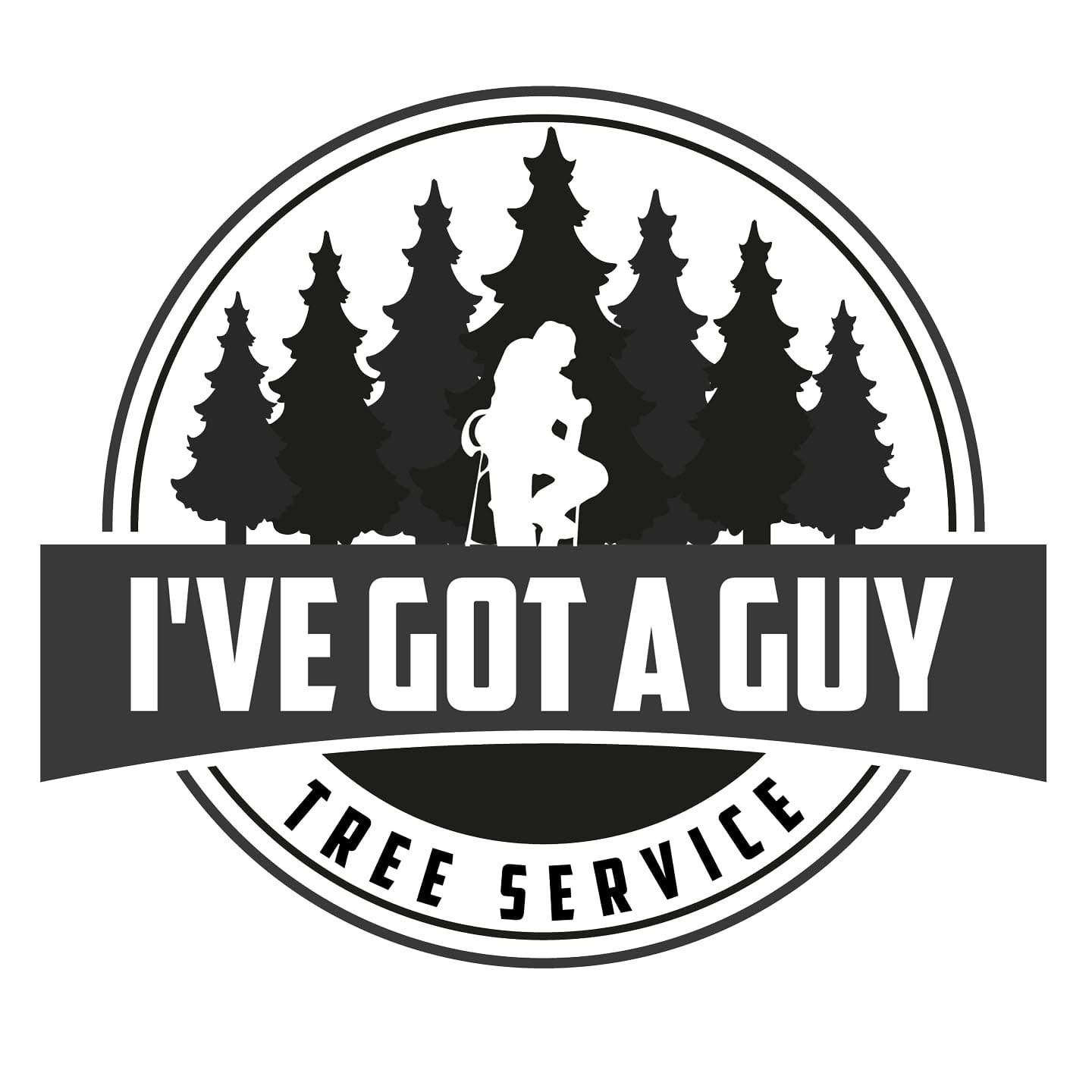 "I've Got A Guy" Tree Service logo with a man silhouetted in front of a forest of trees